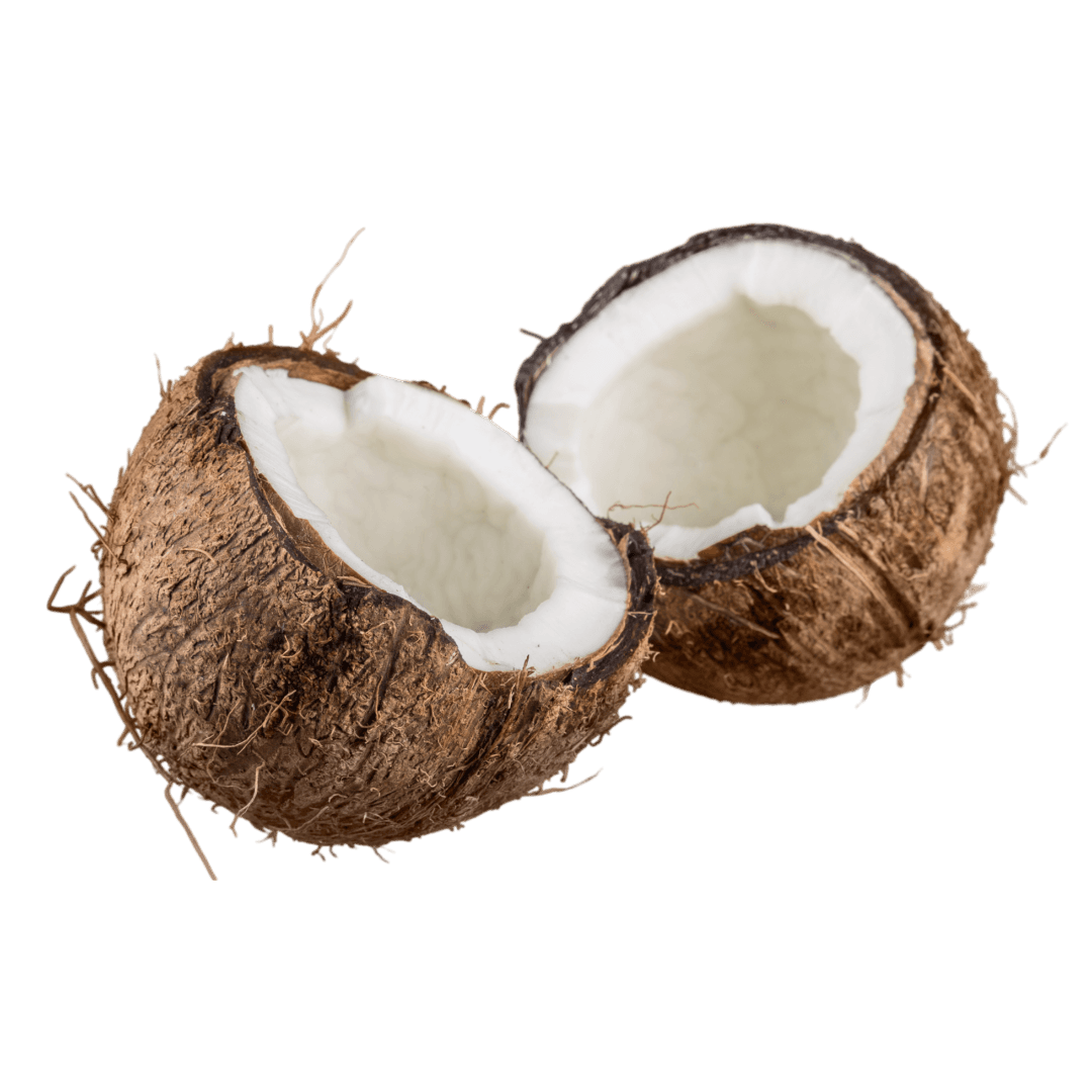 YOUNG COCONUT WATER 